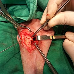 cirurgia-thumb-002.jpg