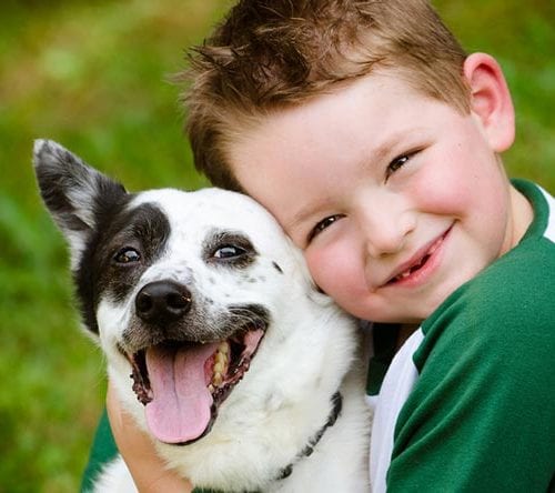 Conviver com cães fortalece o sistema imunológico da criança