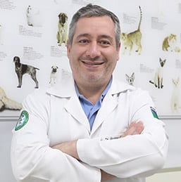 Dr. Rodrigo Rabelo